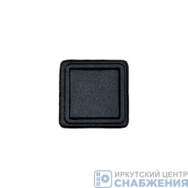 Заглушка 5323РХ-3805127