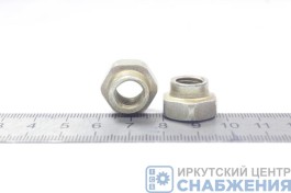 Гайка М 10х1.25 самоконтр. БелЗАН (уп.50) (кл.пр 10) 251646-009 Гайка М 10х1.25 самоконтр. БелЗАН (уп.50) (кл.пр 10) 251646-009
