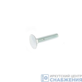 Болт М 8х30х1.25 с квадратным подголовком КАМАЗ (уп.50) (кл.пр 4.8) БелЗАН 210381-П29