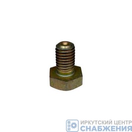 Болт М 10х16-D6 пластин привода ТНВД ЯМЗ АВТОДИЗЕЛЬ 310111-П29