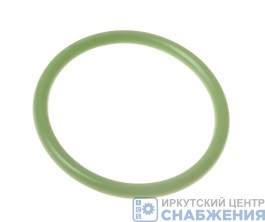 Кольцо гильзы толстое уплотнительное зеленый силикон ФСИ, КАМАЗ 740-1002024Р Кольцо гильзы толстое уплотнительное зеленый силикон ФСИ, КАМАЗ 740-1002024Р
