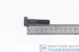 Болт М 10х45х1.25 шкив р/вала ВАЗ 2110 черный (уп.20) (кл.пр 12.9) БелЗАН 21120-1006058-008