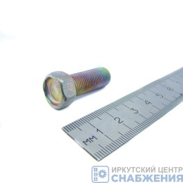 Болт М 10х25х1.0 кардана УАЗ, ГАЗ 828А (уп.50) (кл.пр 6.8) РЗИ 201518-П29 Болт М 10х25х1.0 кардана УАЗ, ГАЗ 828А (уп.50) (кл.пр 6.8) РЗИ 201518-П29