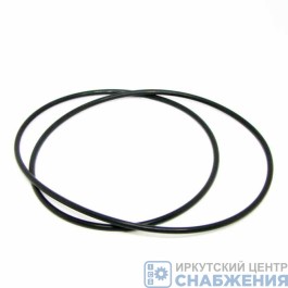 Кольцо уплотнительное водяного насоса КАМАЗ БРТ 740-1307075-10 Кольцо уплотнительное водяного насоса КАМАЗ БРТ 740-1307075-10