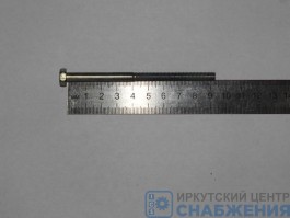 Болт М 6х95х1.0 натяжного ролика (уп.20) (кл.пр 8.8) Кр.Этна 406-1308090 Болт М 6х95х1.0 натяжного ролика (уп.20) (кл.пр 8.8) Кр.Этна 406-1308090