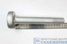 Болт М 24х166х2 полурессоры BPW TRAILERPARTS ТР0334014200 Болт М 24х166х2 полурессоры BPW TRAILERPARTS ТР0334014200