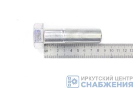 Болт М 22х80х1.5 РААЗ (уп.5) (кл.пр 10.9) 109-6022080-10