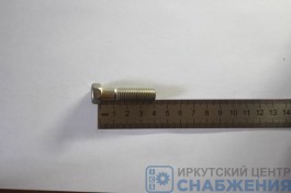 Болт М 10х40х1.5 кронштейна двигателя (уп.20)  (кл.пр 6.8) Красная Этна 200315-П29
