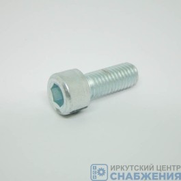 Винт М 10х25х1.5 с внутренним шестигранником 74030-1317008-009 Винт М 10х25х1.5 с внутренним шестигранником 74030-1317008-009