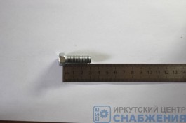 Болт М 10х30х1.5 масляного насоса дв.406 (уп.20) (кл.пр 8.8) Красная Этна 201499-П29