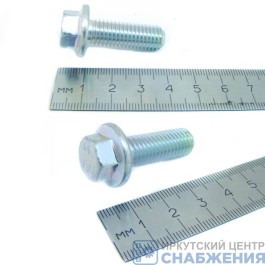 Болт М 10х30х1.5 с фланцем (уп.20) (кл.пр 8.8) 290S037-71