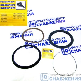 Ремкомплект поворотного кулака КАМАЗ 4310 (малый из 4-х) 4310-2304093/94/89/99