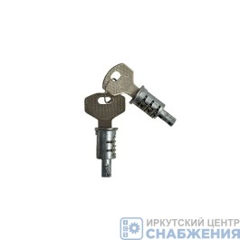 Кнопка замка двери КАМАЗ (личинки) ДААЗ к-т 5320-6105030-00