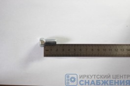 Болт М 10х20х1.5 ремня безопасности Газель (уп.20) (кл.пр 6.8) Красная Этна 201495-П29