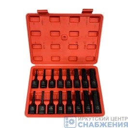 Набор торцевых ударных головок-бит 6гр. 1/2" Н5-Н19мм, пластик.кейс 16 пр. SONGRUI SG-52212-519M