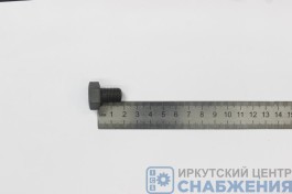 Болт М 12х16х1.25 заглушка картера КПП КАМАЗ (уп.20) (кл.пр 8.8) БелЗАН 1/55400-239