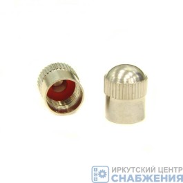 Колпачок золотника камеры металлический (стандартный) (уп.100) DPC-015