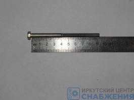 Болт М 6х95х1.0 натяжного ролика (уп.20) (кл.пр 8.8) Кр.Этна 406-1308090