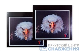 Брызговик 360х410 КАМАЗ задний ОРЕЛ ГАЗЕЛЬ ТТ-БР-09