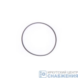 Пружина сальника хвостовика КАМАЗ (уп.10) БелЗАН 864179-009