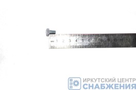 Болт М 6х10х1.0 (уп.100) (кл.пр 6.8) Красная Этна 201415-п29