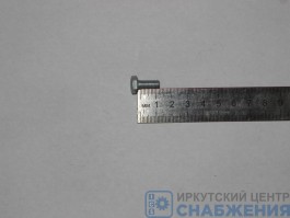 Болт М 6х14х1.0 (уп.50) (кл.пр 8.8) БелЗАН 1/09021-218